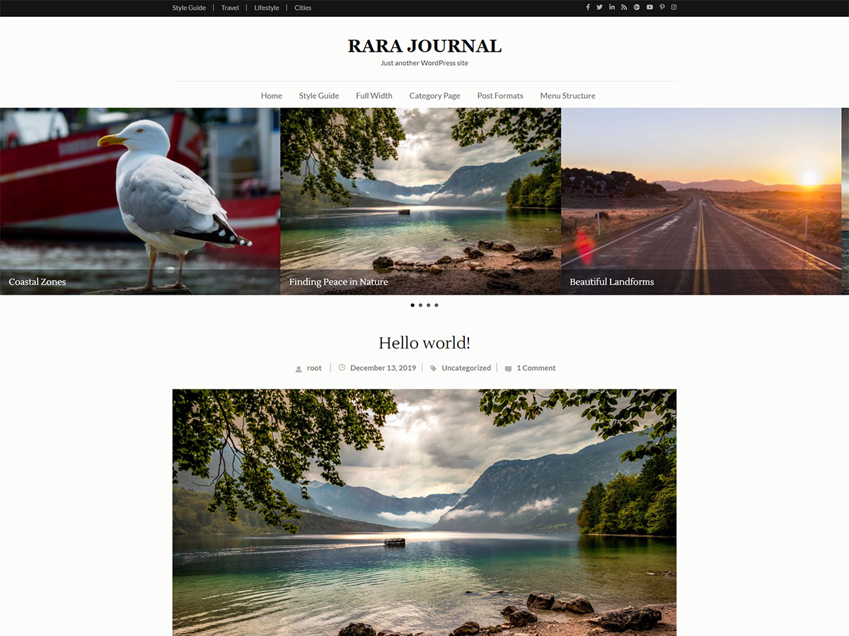 Rara Journal theme websites examples