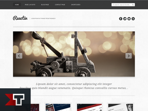 reactiv theme websites examples
