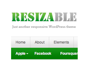 resizeable theme websites examples