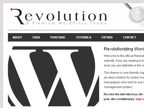 revolution-20 theme websites examples