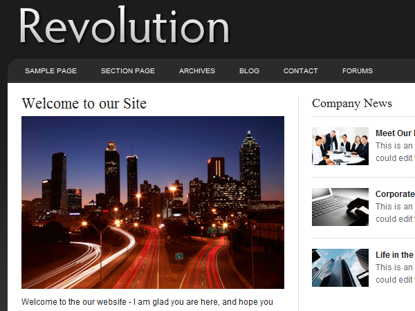 revolution_business-10 theme websites examples
