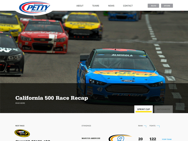 RPM theme websites examples