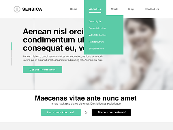 sensica theme websites examples