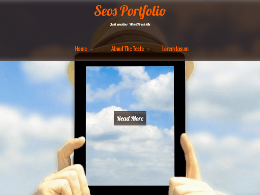 seos-portfolio theme websites examples
