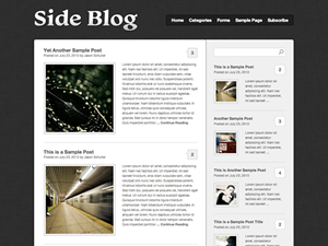 Side Blog theme websites examples