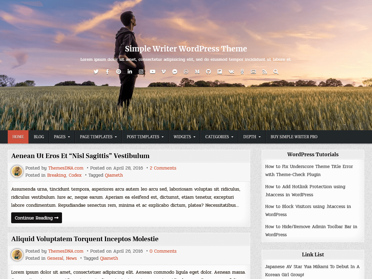 simple-writer theme websites examples