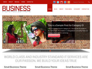 small-business-pro theme websites examples