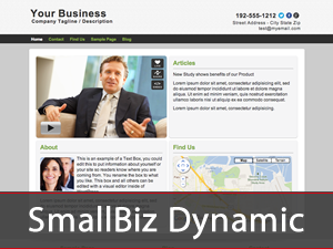 Smallbiz Dynamic website example screenshot