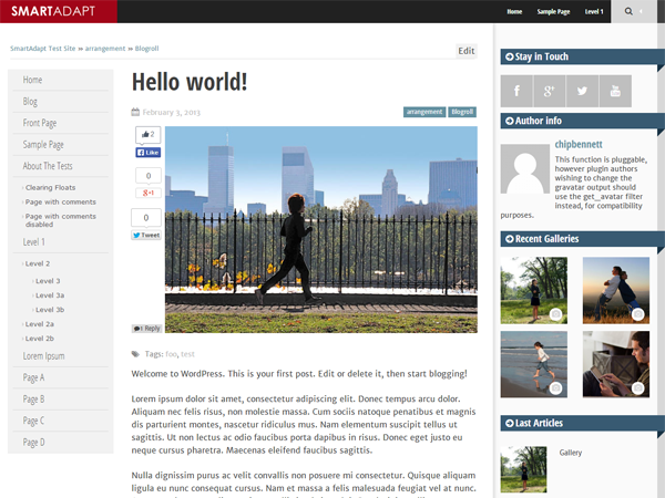 SmartAdapt website example screenshot