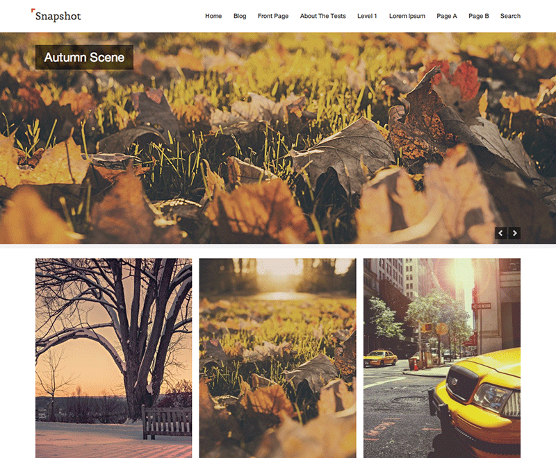 Snapshot website example screenshot
