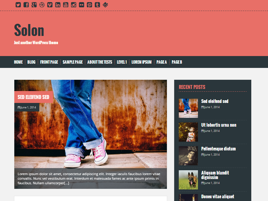 Solon website example screenshot
