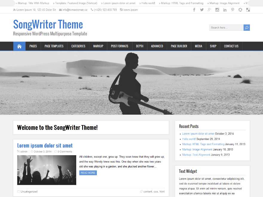 songwriter-premium theme websites examples