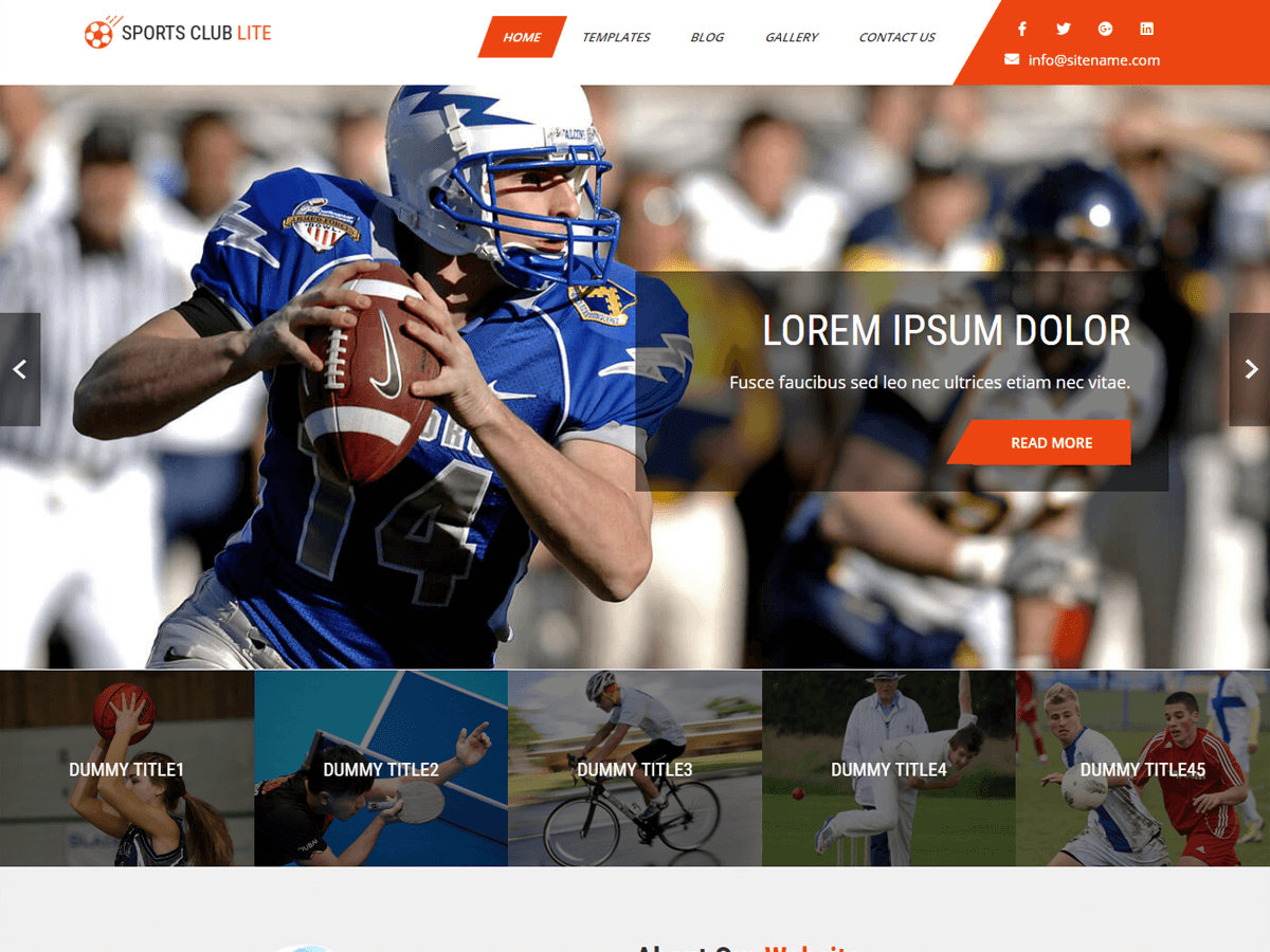 sports-club-lite theme websites examples