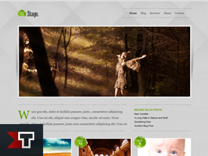 stage theme websites examples