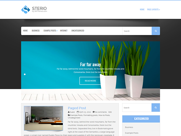 sterio theme websites examples