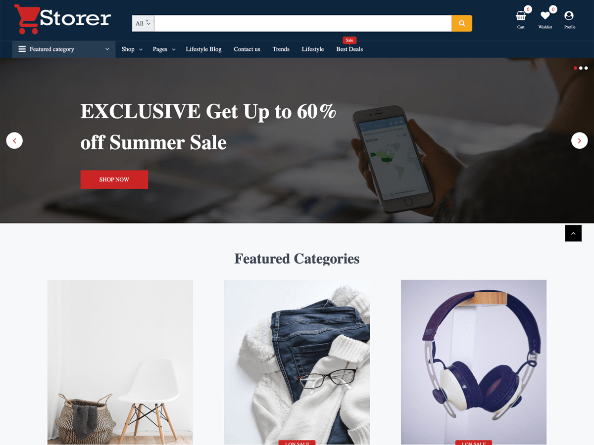storer theme websites examples