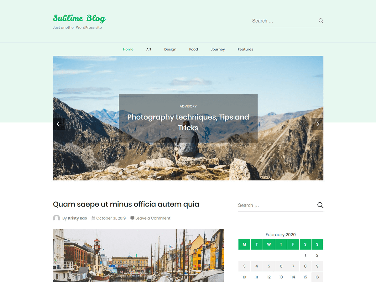 sublime-blog theme websites examples