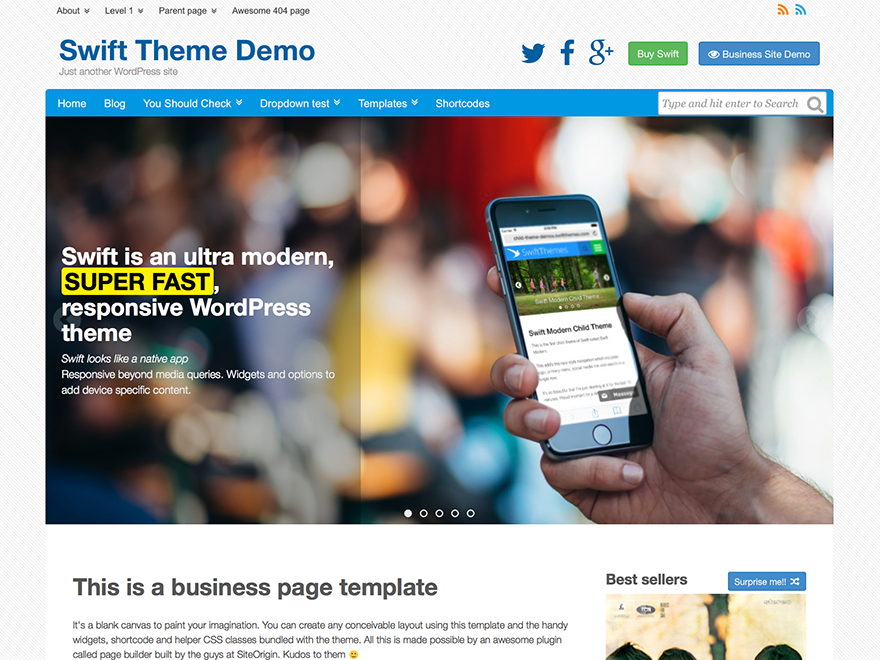 Swift website example screenshot