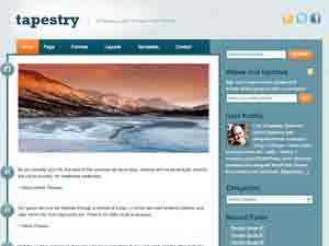 tapestry theme websites examples