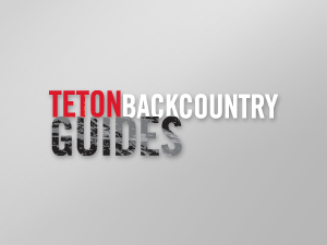teton WordPress theme, websites list used teton theme teton theme websites examples
