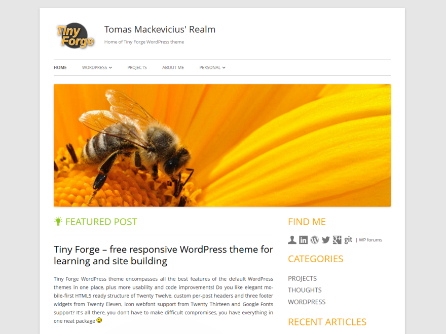 Tiny Forge website example screenshot