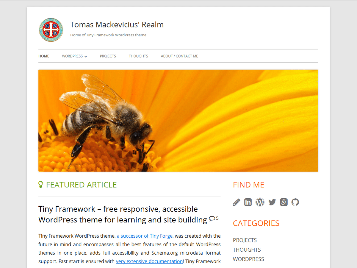 Tiny Framework website example screenshot