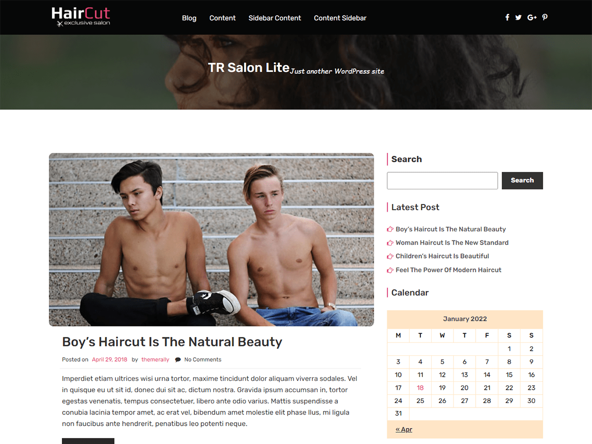 tr-salon-lite theme websites examples