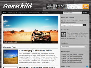 transchild theme websites examples