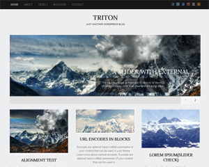 triton_lite theme websites examples