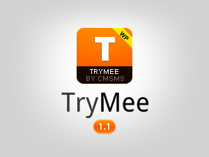 Trymee website example screenshot
