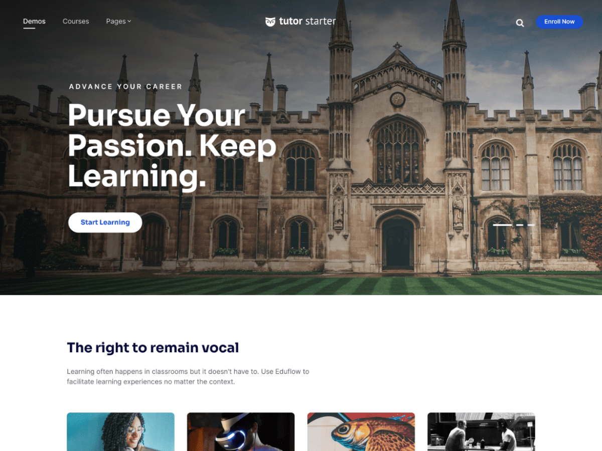tutorstarter theme websites examples