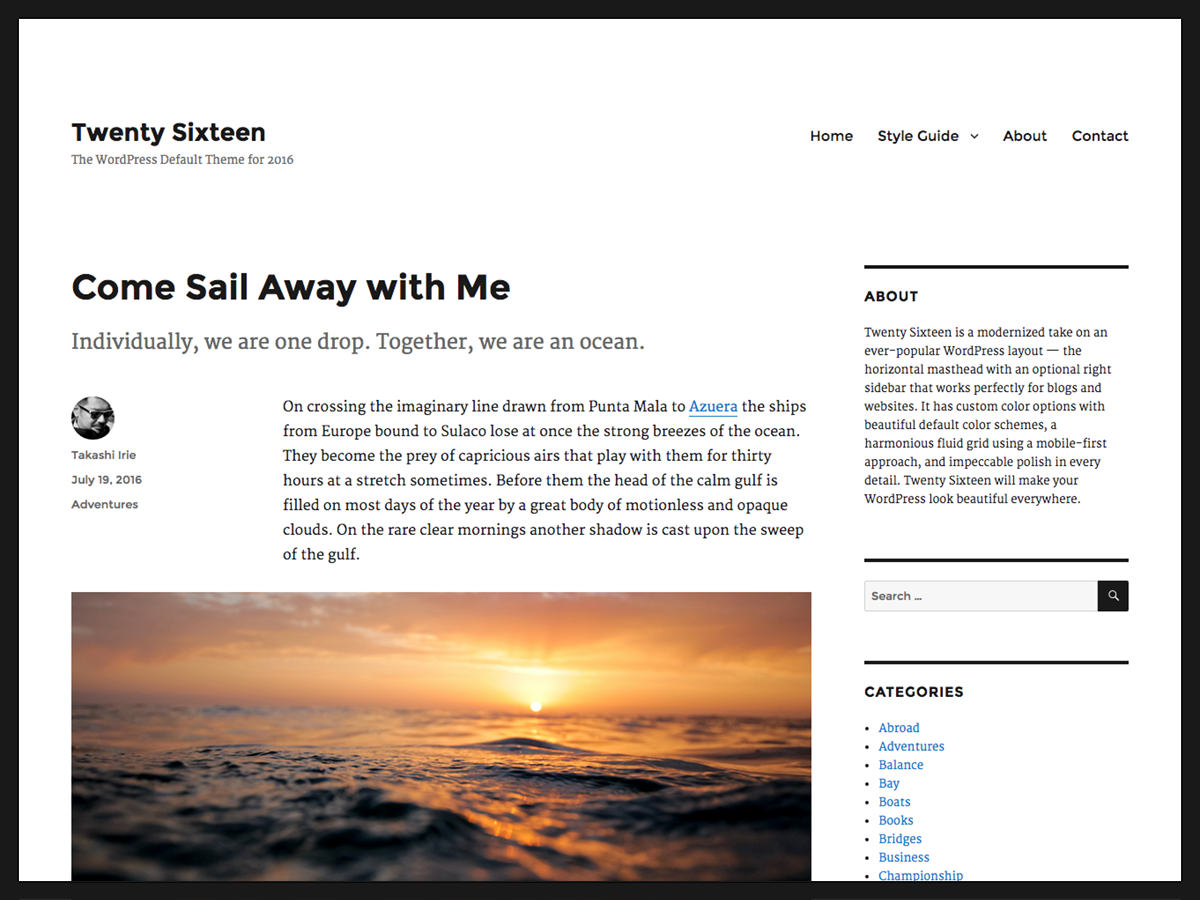 Twenty Sixteen theme websites examples