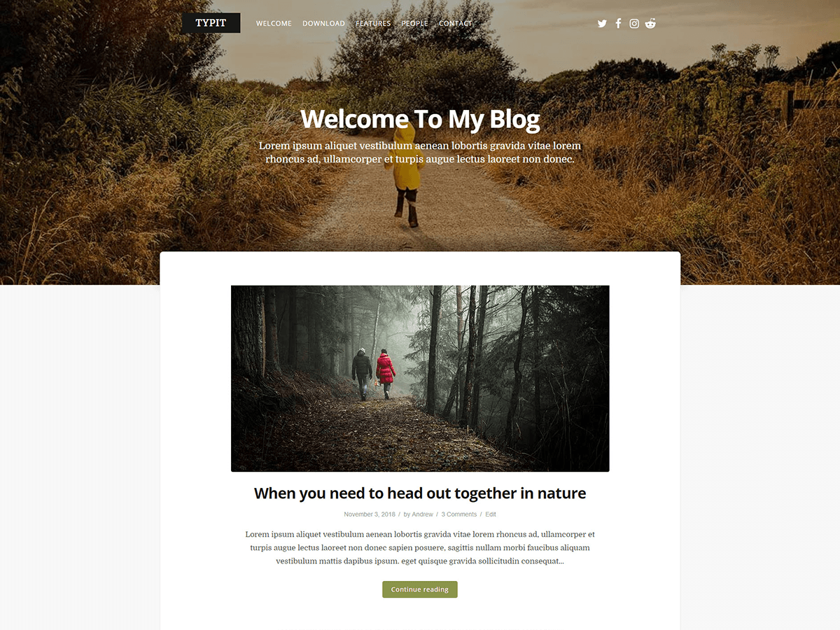 typit theme websites examples