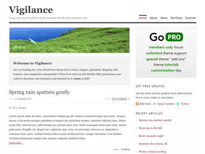 Vigilance theme websites examples
