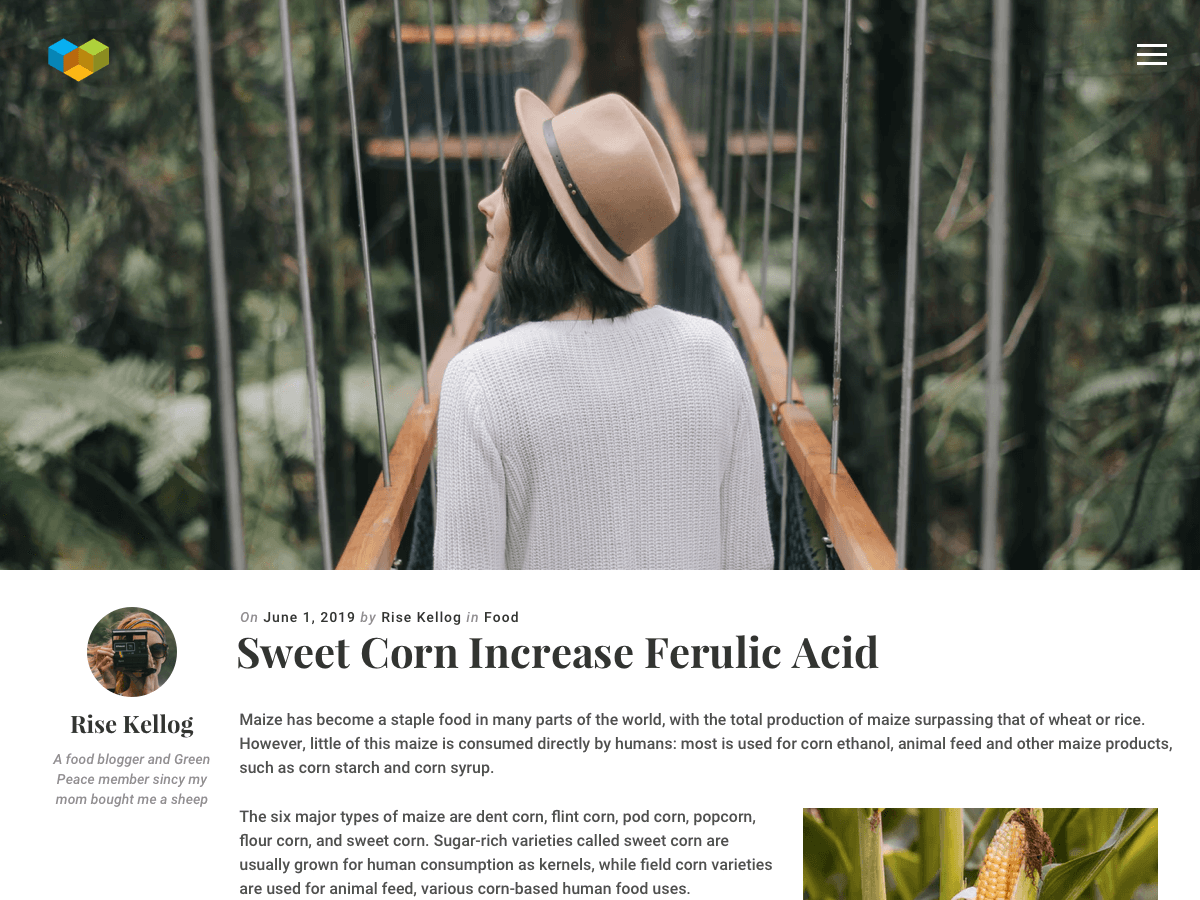 Visual Composer Starter website example screenshot