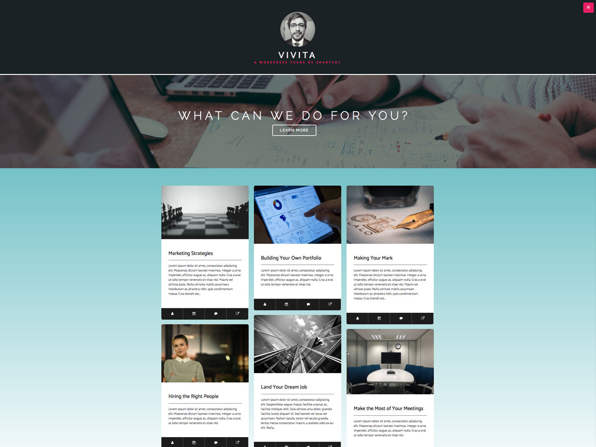 Vivita website example screenshot