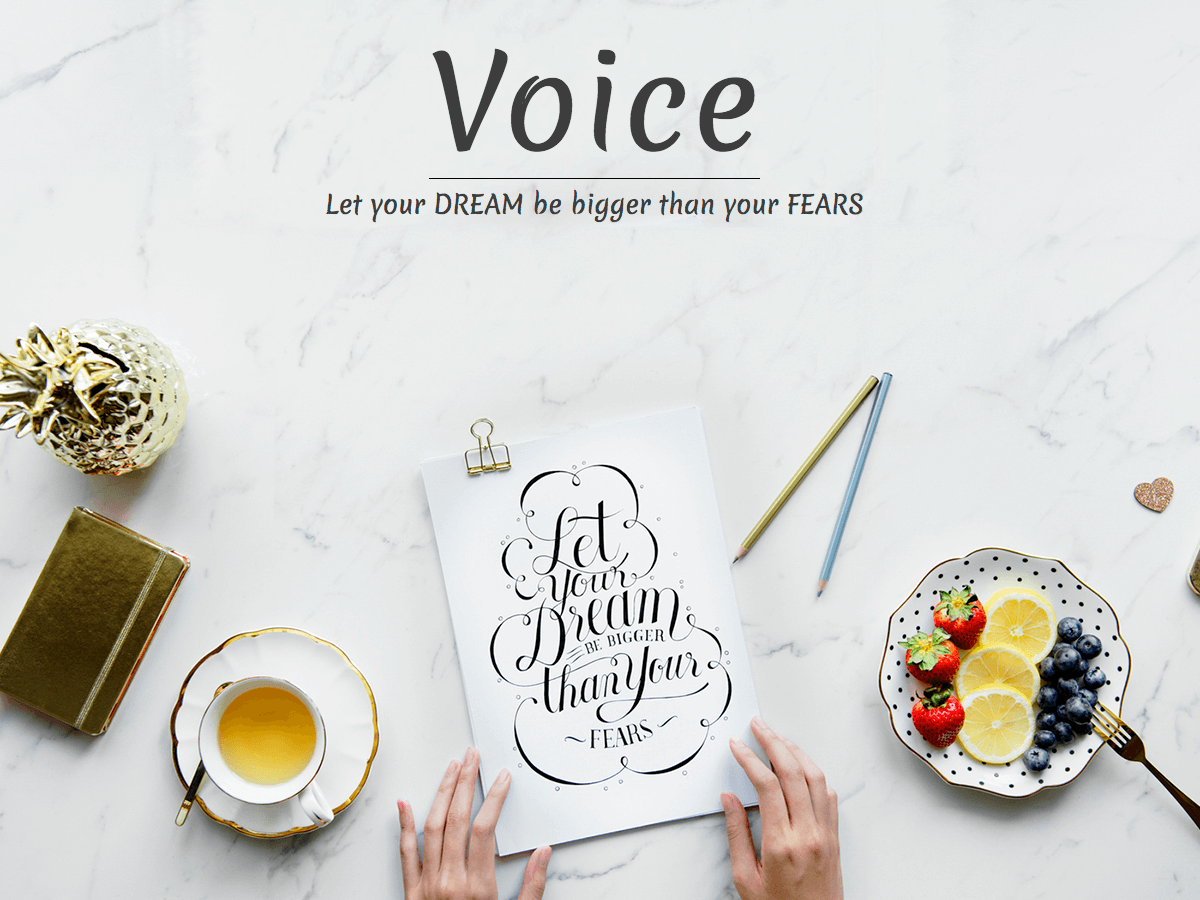 voice-blog theme websites examples