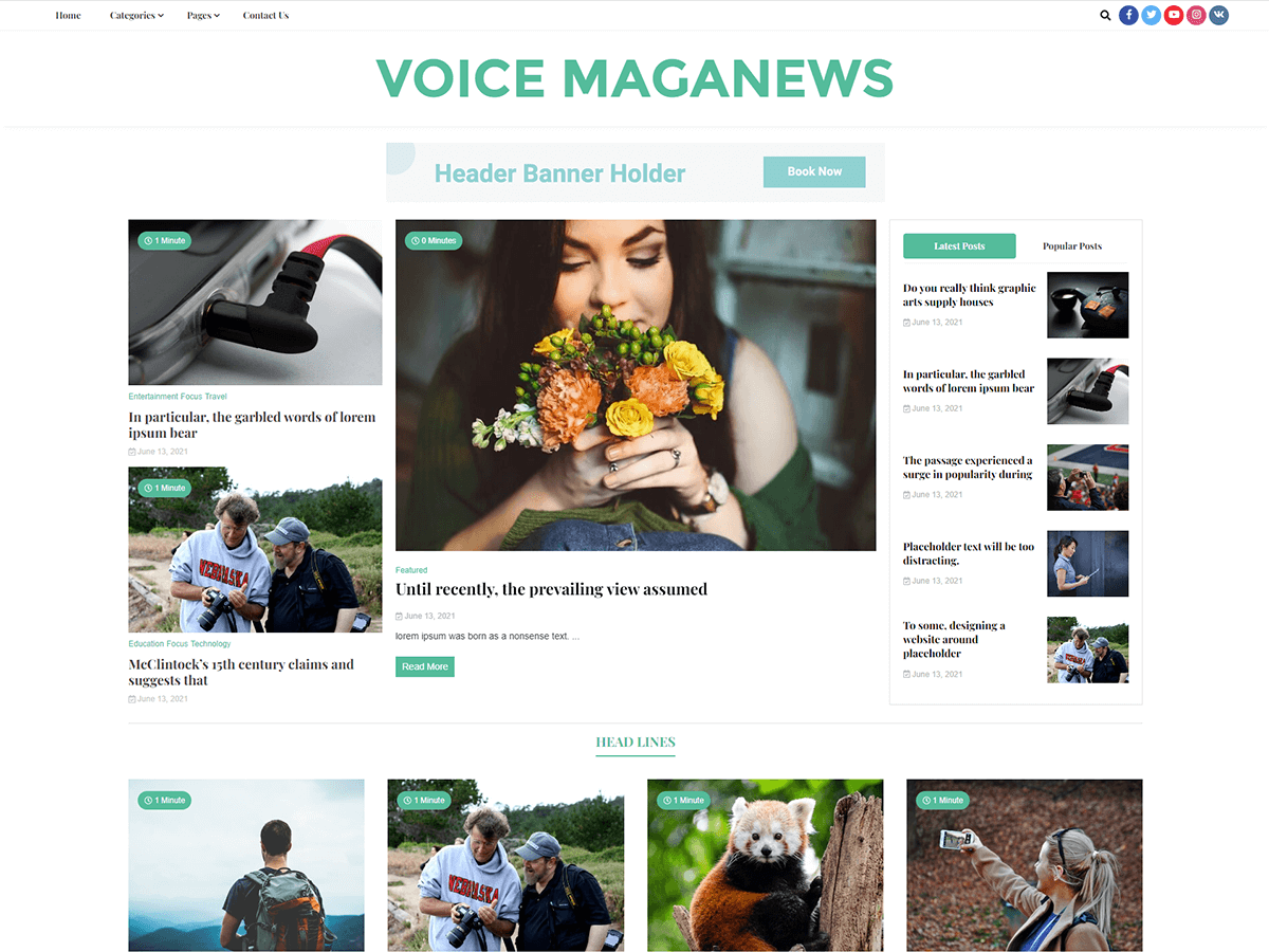voice-maganews theme websites examples
