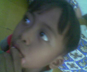 wak-ayol theme websites examples