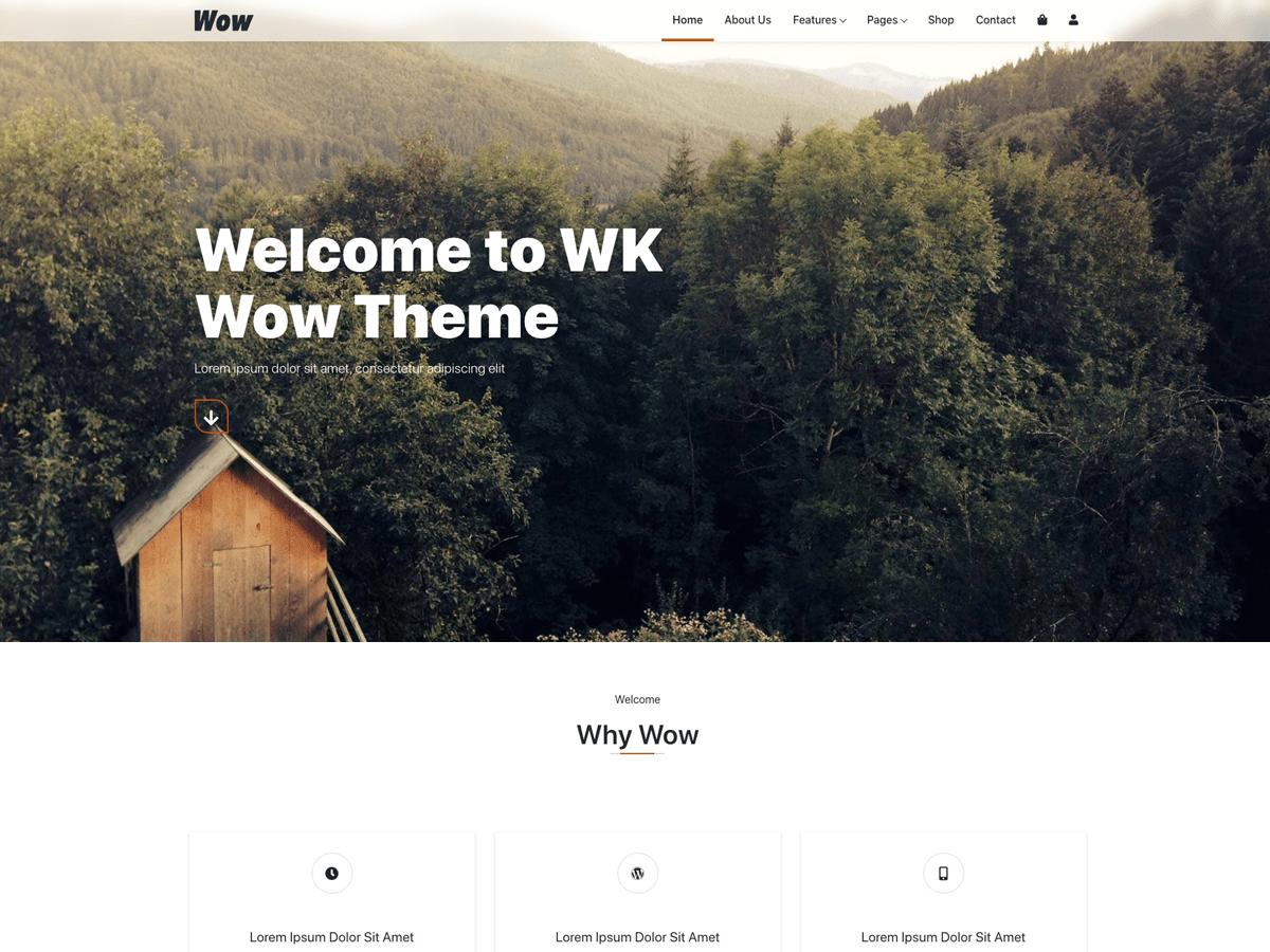 wk-wow theme websites examples