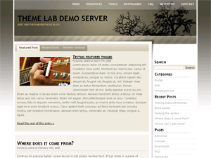wp-monochrome theme websites examples
