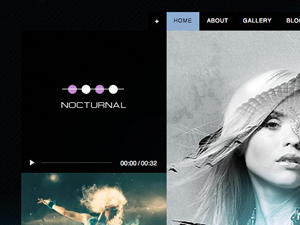 wpnocturnal theme websites examples