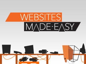 wsme theme websites examples