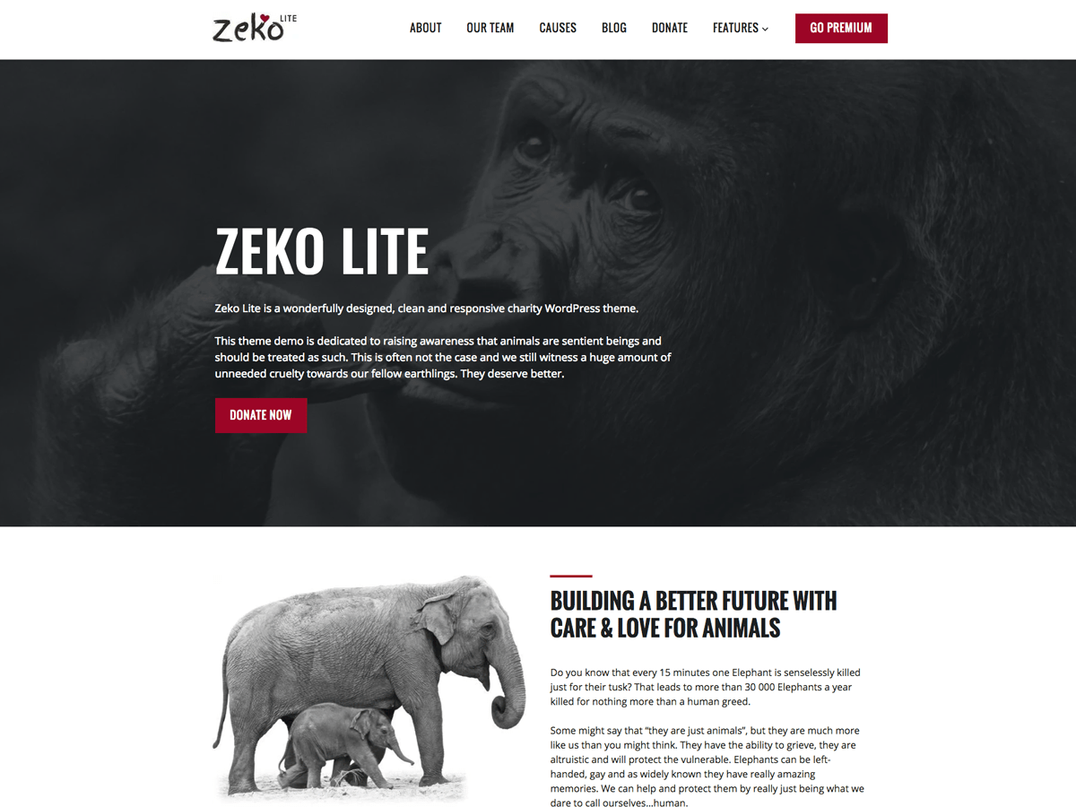 zeko-lite theme websites examples