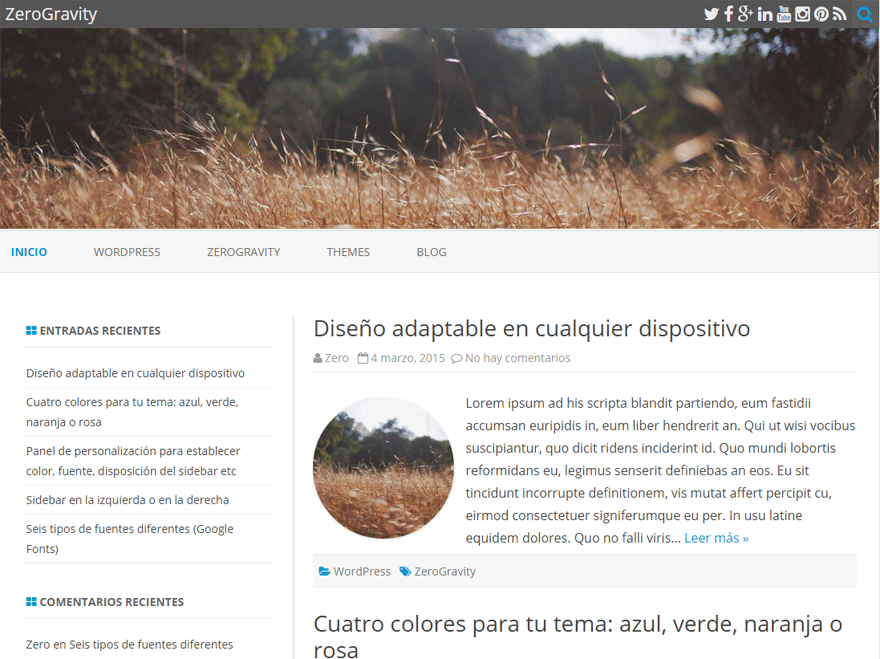 ZeroGravity website example screenshot