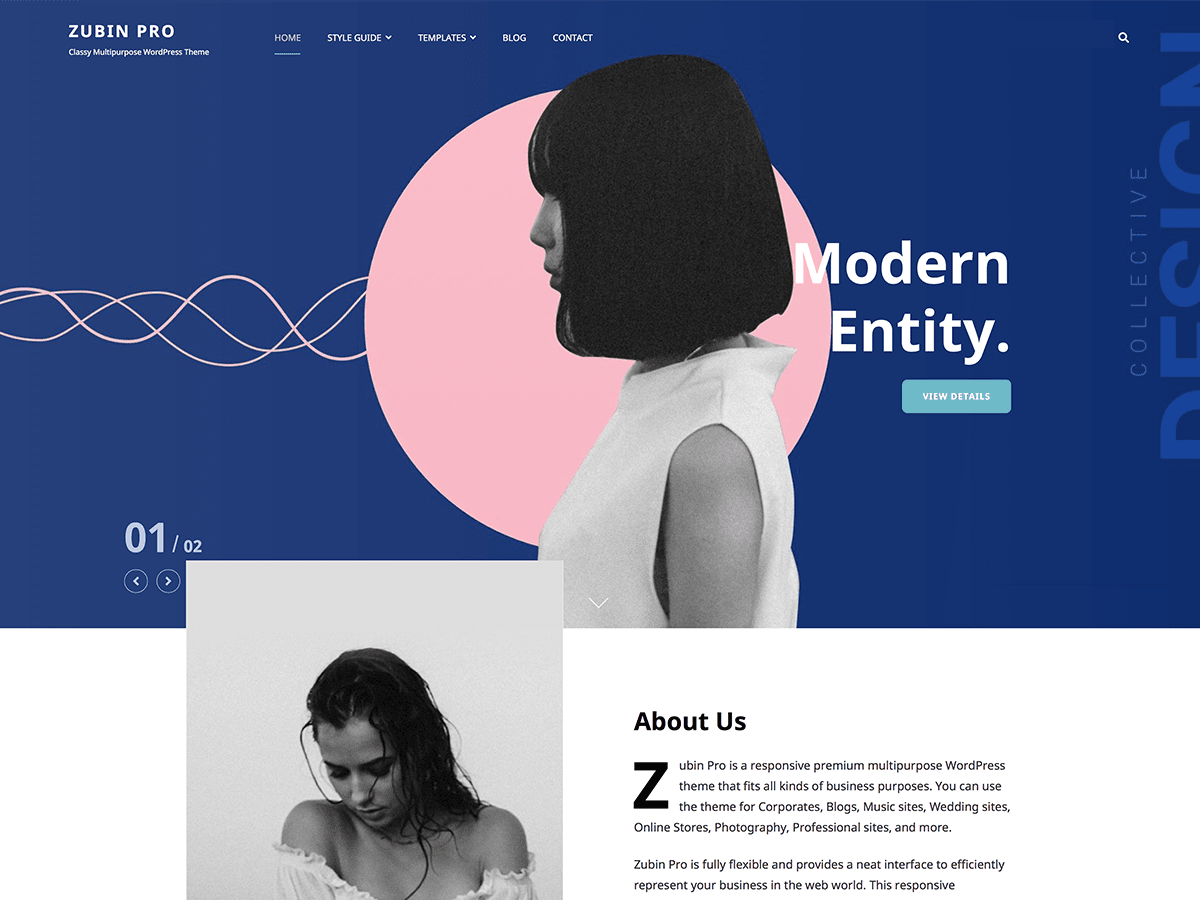 zubin theme websites examples