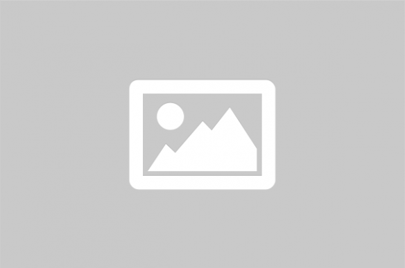 Avada Child Theme theme websites examples