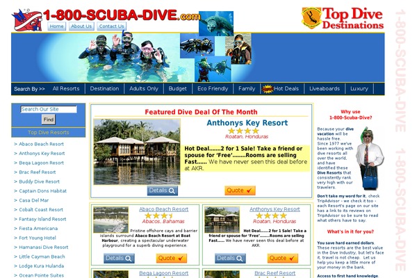 Default theme site design template sample