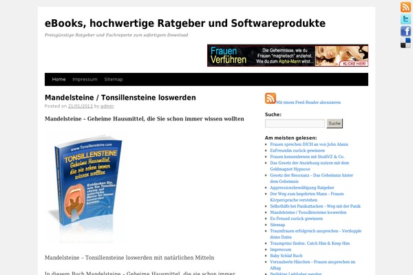 Reference theme site design template sample