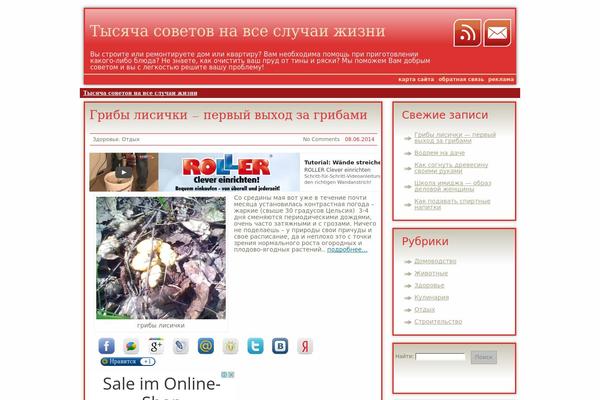 1000sovetov.info site used Red Shadow